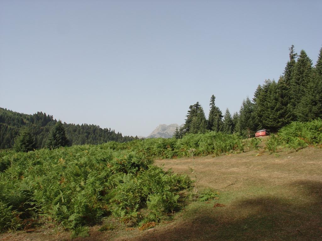 The Lake'S House Kryonerion Exterior photo